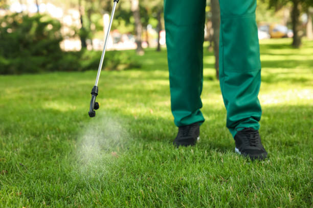 Pest Control for Restaurants in Clarksburg, WV