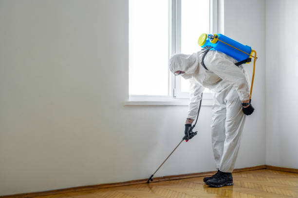 Best Best Pest Control Companies  in Clarksburg, WV