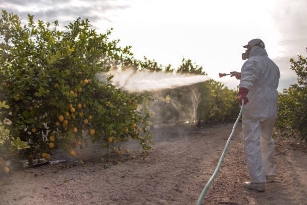 Best Cockroach Control Services  in Clarksburg, WV