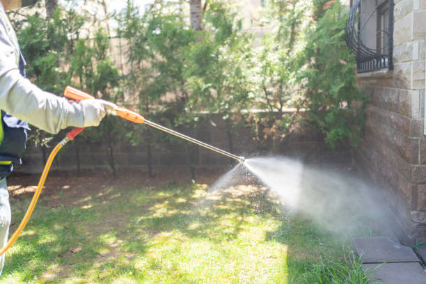 Best Pest Control Near Me  in Clarksburg, WV